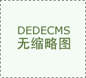 合作伙伴五